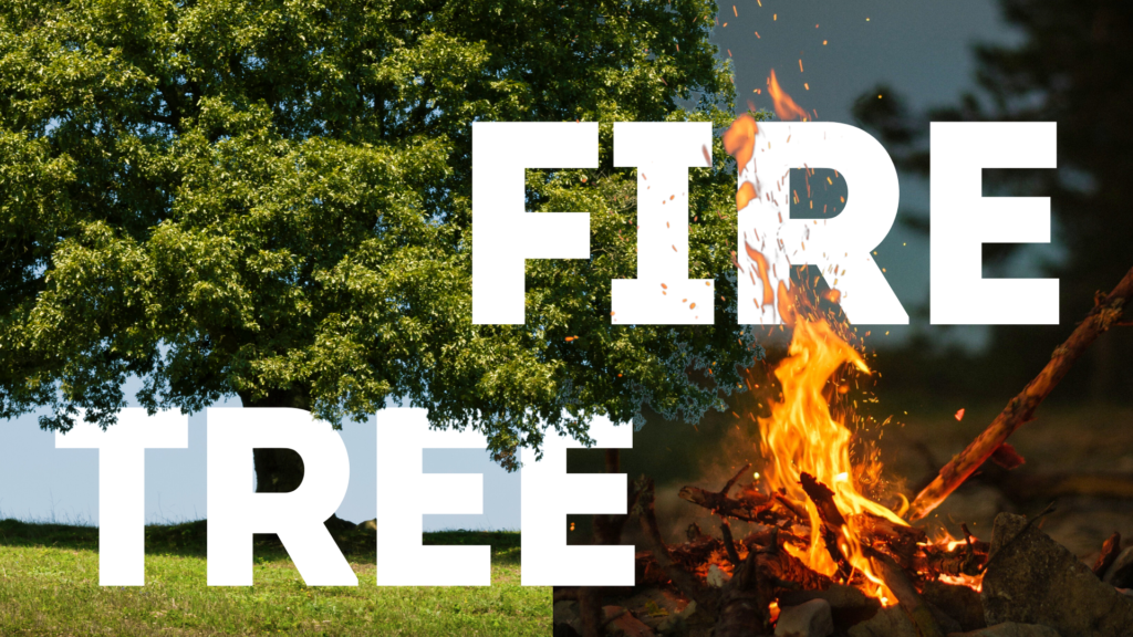 Fire
